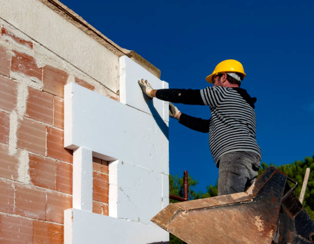 Best Residential Insulation in Davison, MI