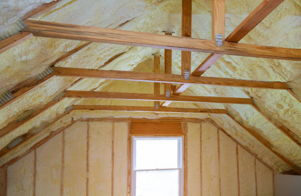 Best Specialized Insulation Services in Davison, MI