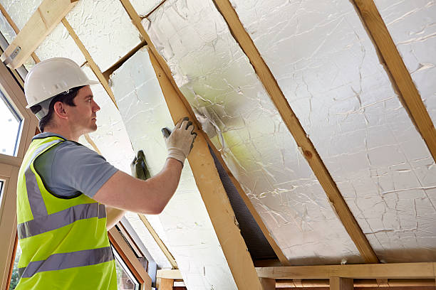 Best Fiberglass Insulation in Davison, MI