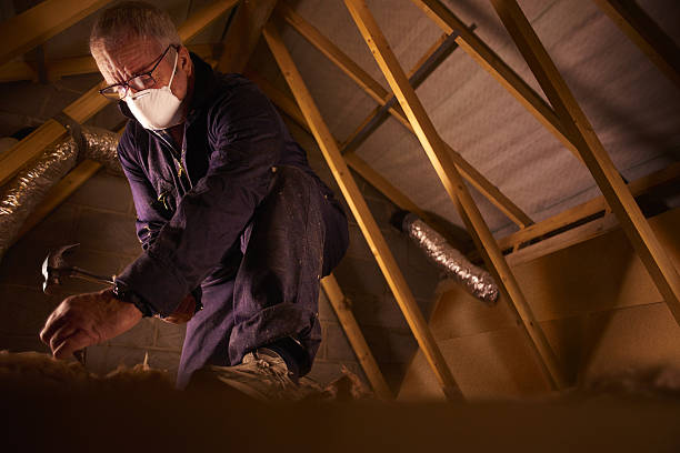 Best Spray Foam Insulation in Davison, MI