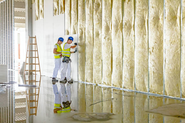 Types of Insulation We Offer in Davison, MI